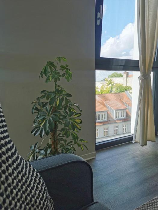 Ferienwohnung Havel Harmonie Brandenburg  Bagian luar foto